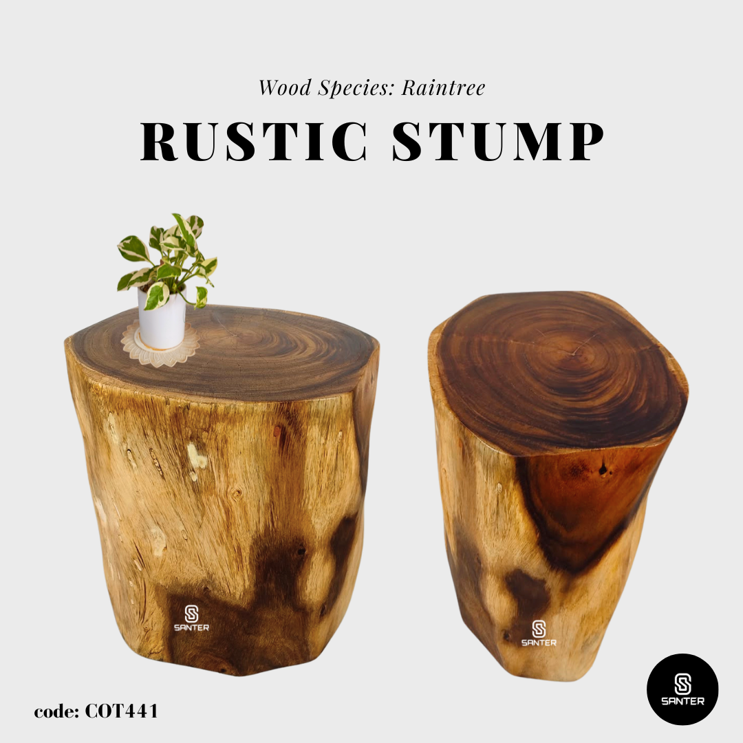 COT441. Raintree Wood Artistic Wood Pedestal/ Stump/ Side Table/ Stool