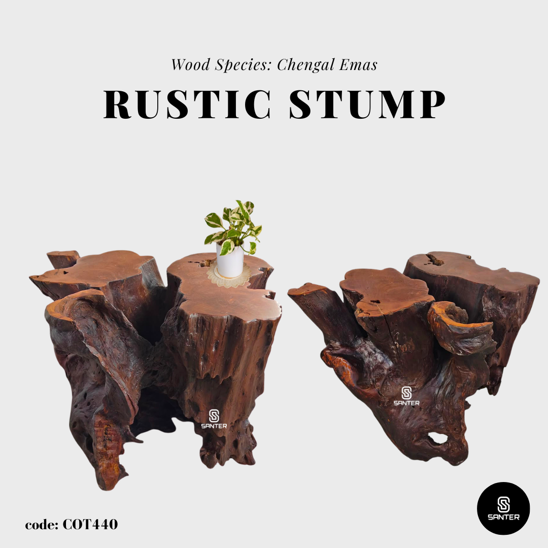 COT440. Chengal Emas Artistic Root Console / Artistic Wood Stump / Root Stump