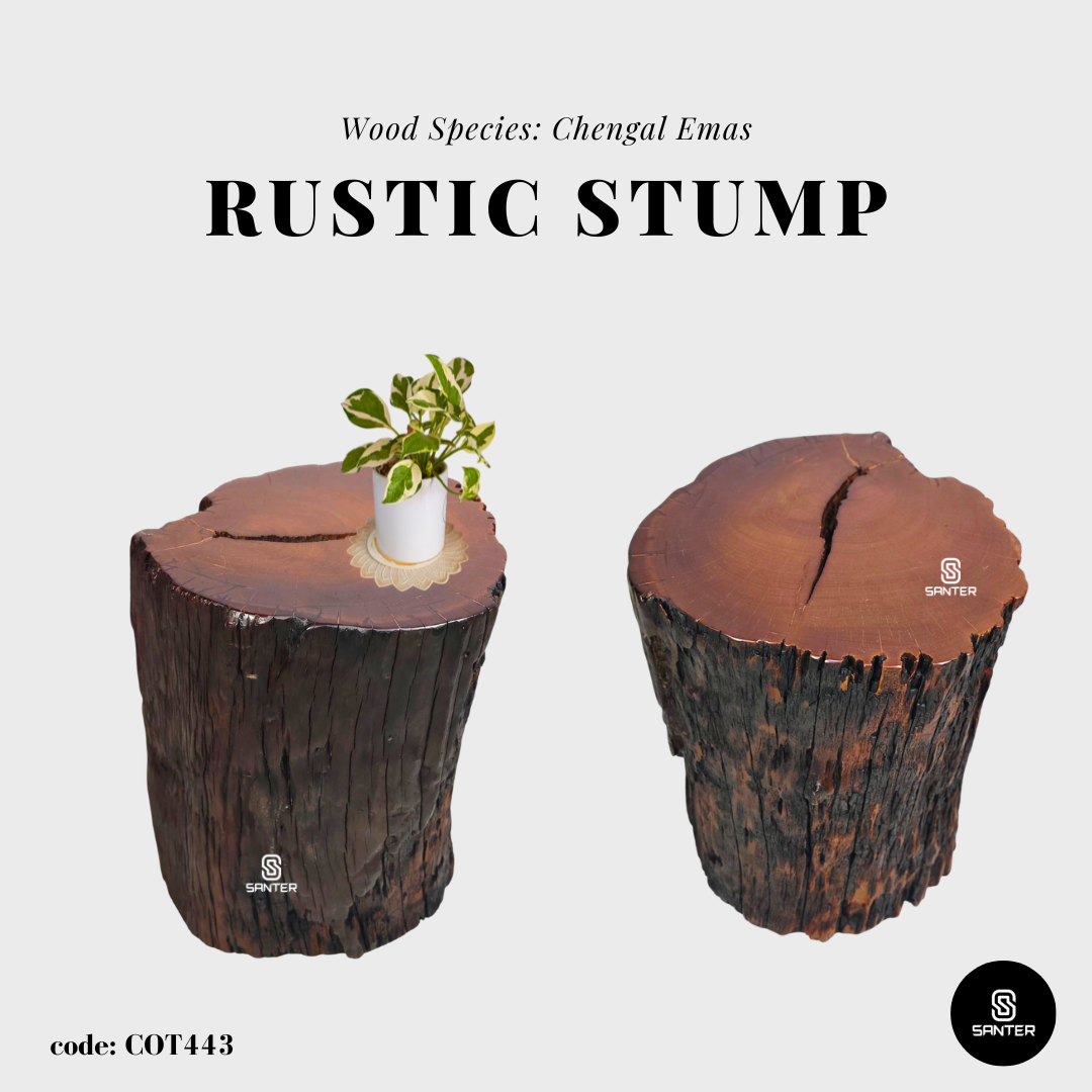 COT443. Chengal Emas Artistic Wood Pedestal/ Stump/ Side Table/ Stool