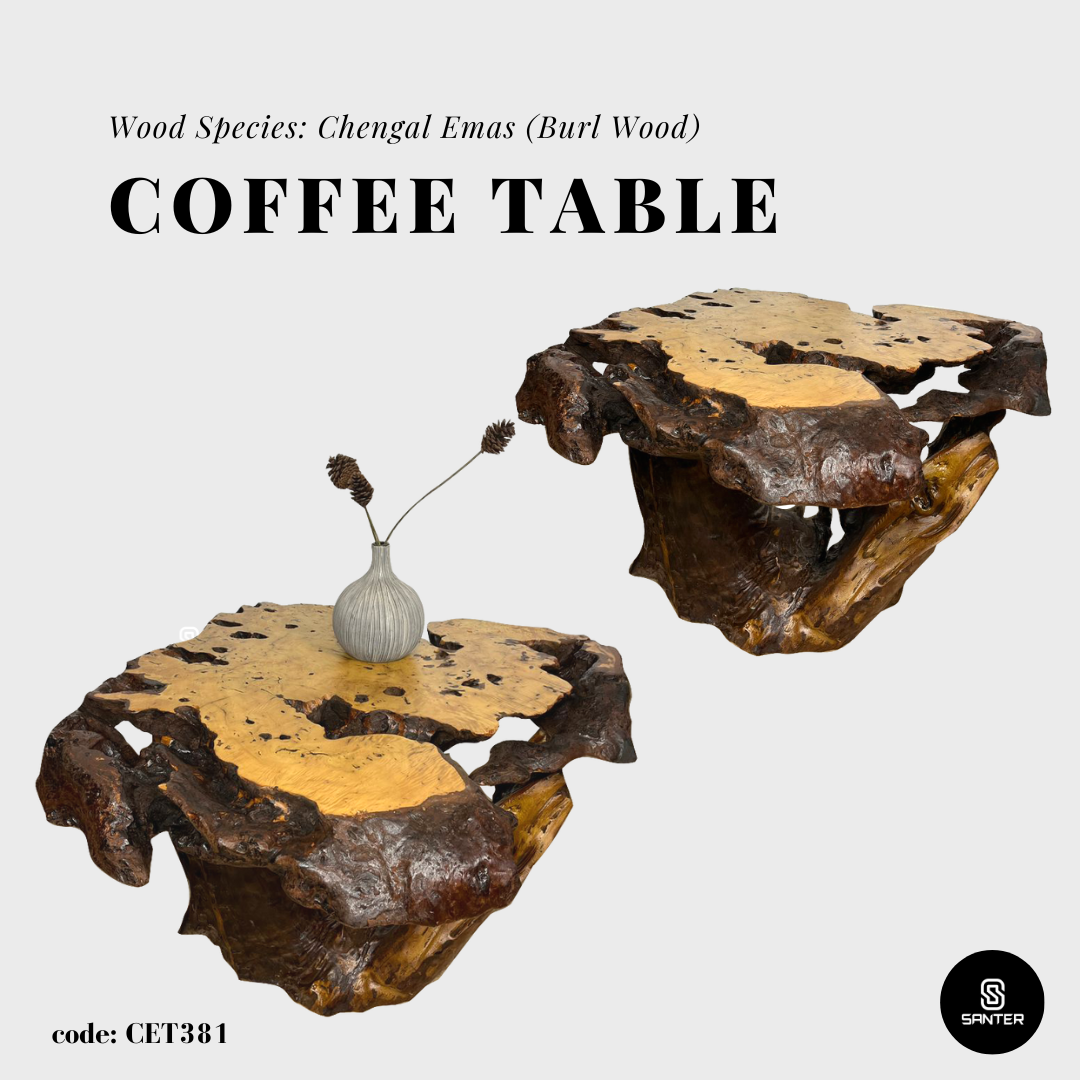 CET381. Chengal Emas Solid Wood Coffee Table/ Tea Table (Burl Wood)