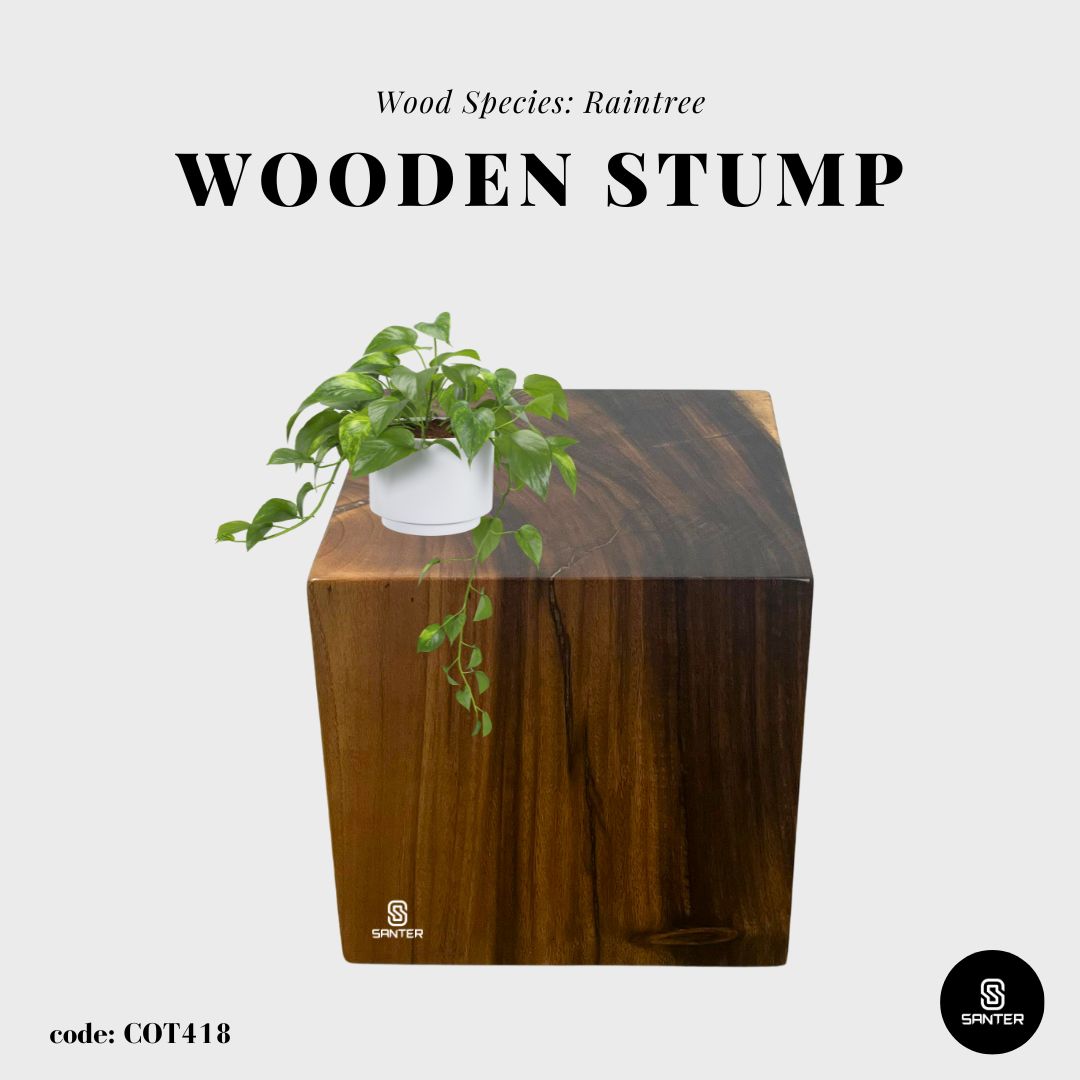 COT418. Raintree Solid Wood Pedestal/ Wooden Stump / Artistic Stump / Plant Stool / Small Stool