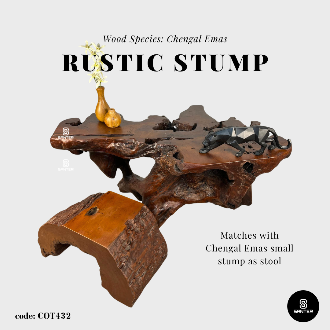 COT432. Chengal Emas Artistic Root Console / Artistic Wood Stump / Root Stump