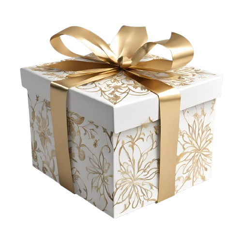 Holly Jolly Surprise Box