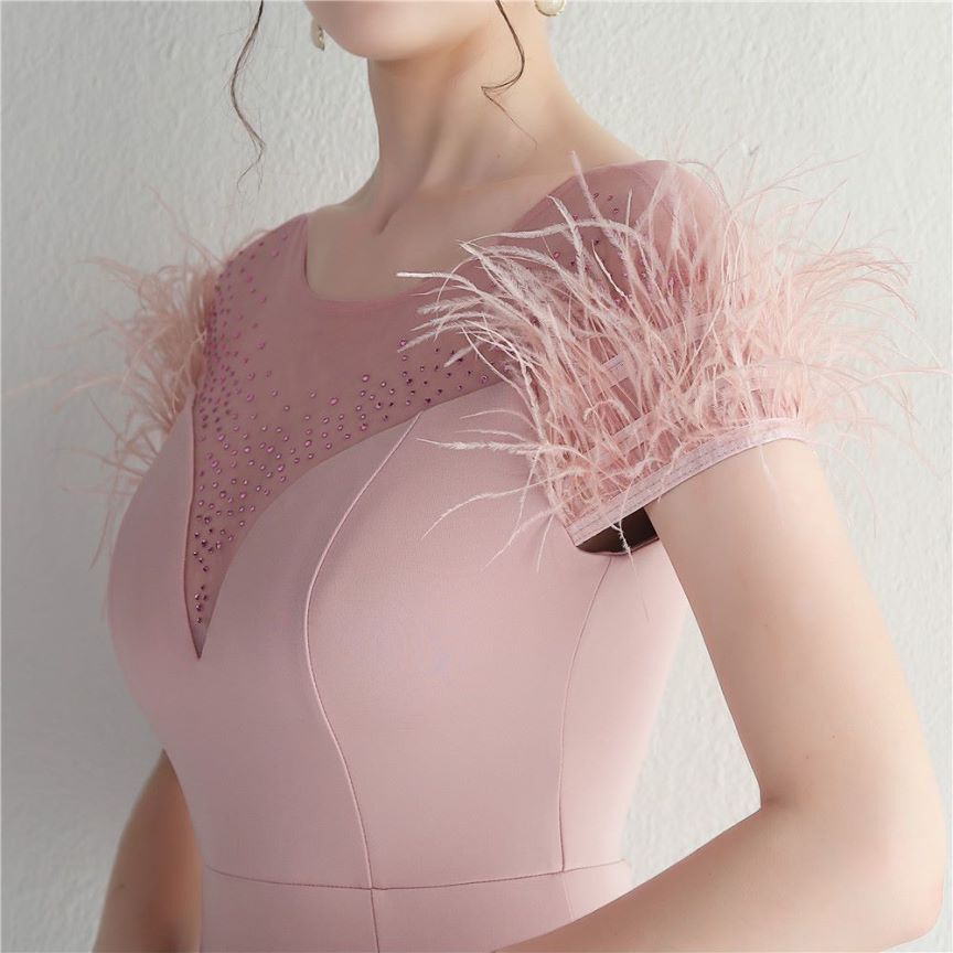 Short Sleeve with Feather Slim Cut Evening Gowns (Pink) (Retail)