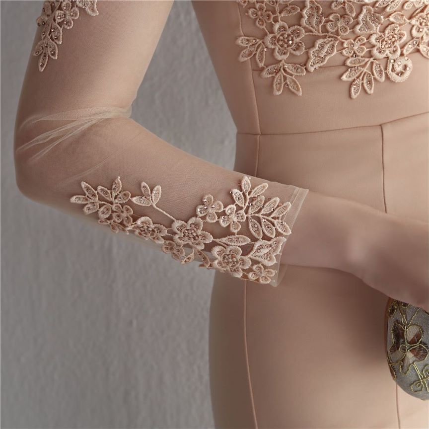 Elegant Long Sleeve Lace Mermaid Evening Gown (Beige) (Made To Order)