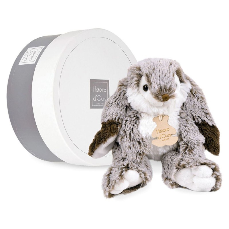 Histoire D' Ours Marius Rabbit