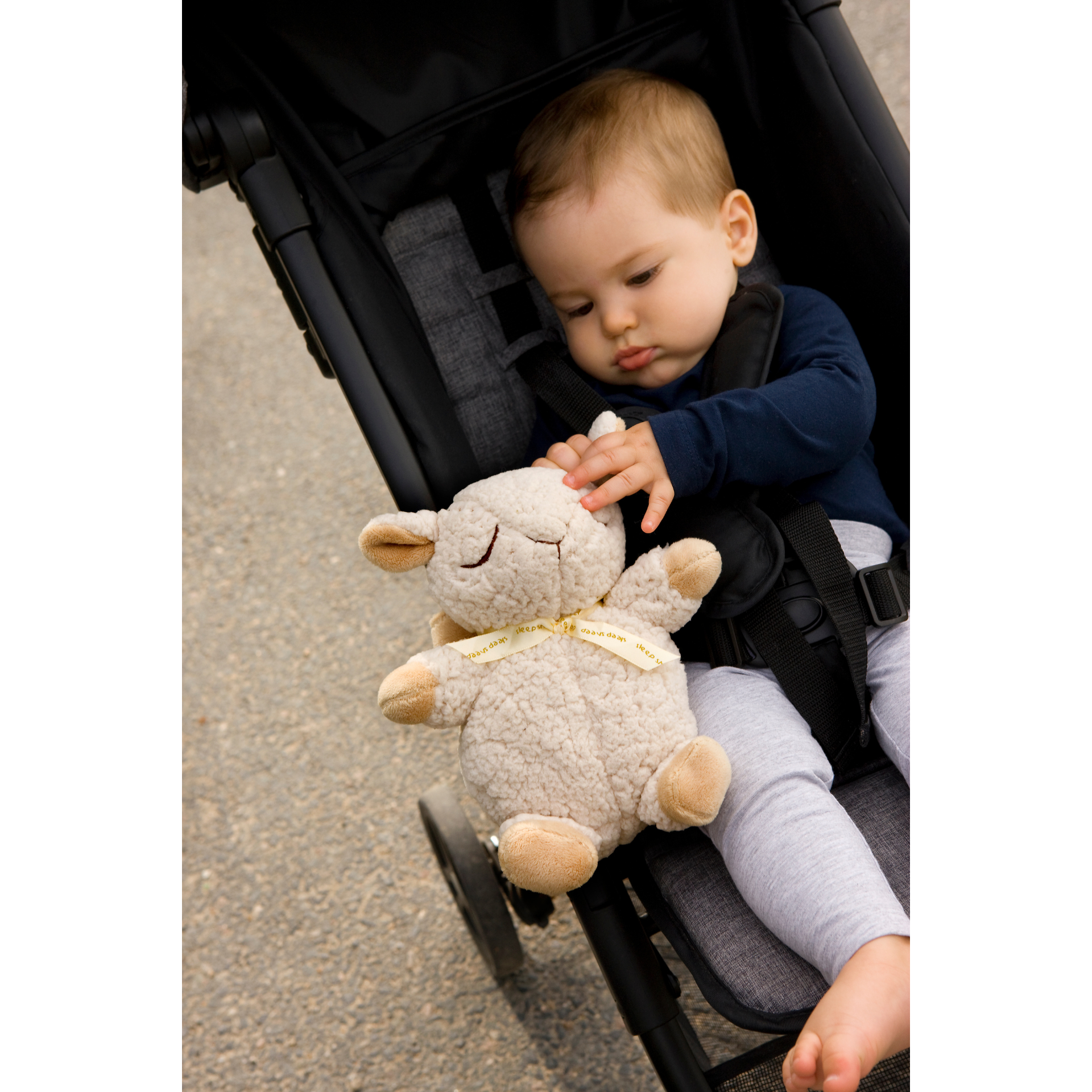 Cloud b Sheep On The Go-Bebehaus