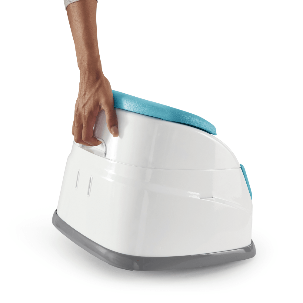 Ingenuity Baby Base 2-in-1 Seat-Bebehaus