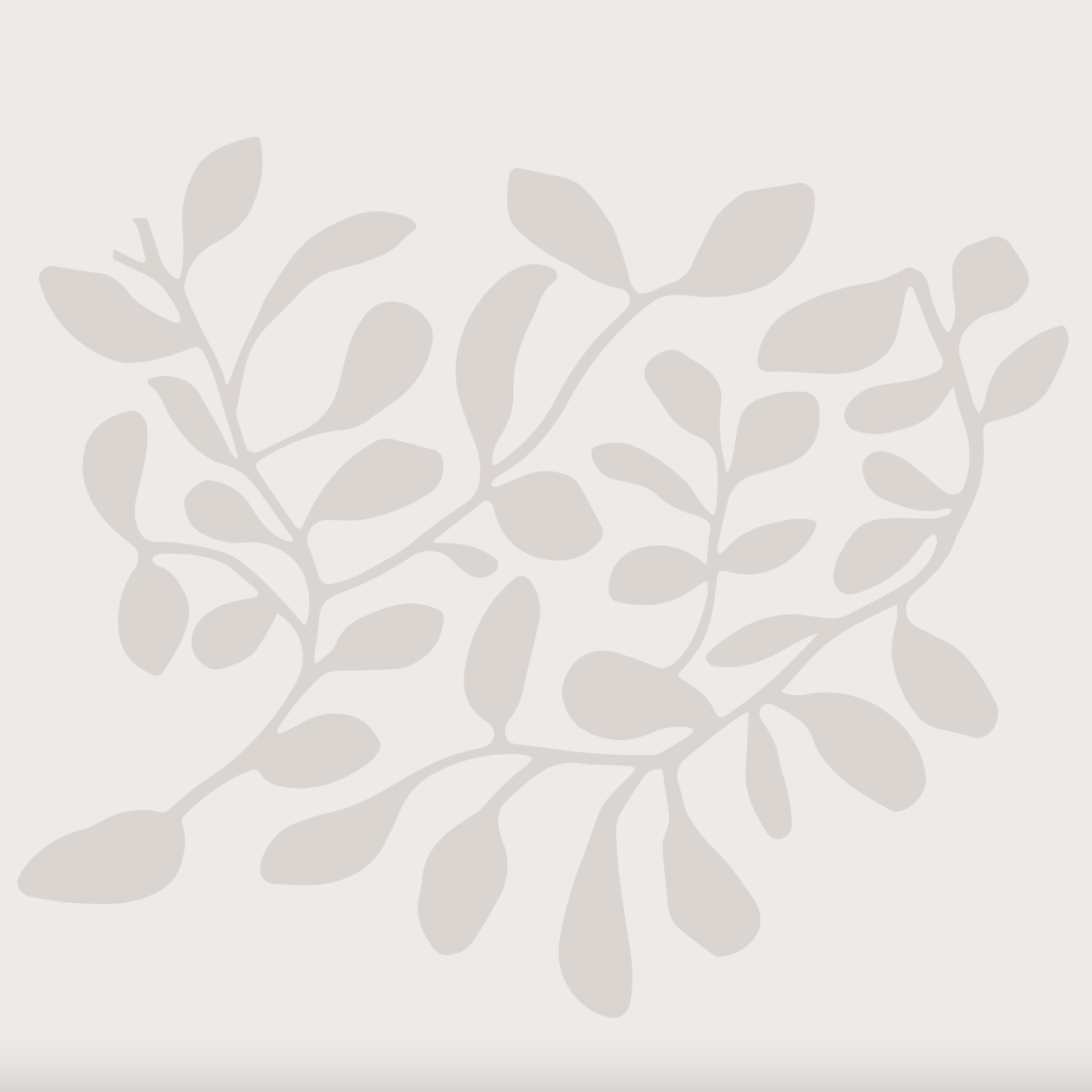 Petit Artichaut Classic Frame