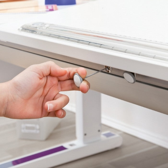 Moll Champion Ergonomic Study Table-Bebehaus