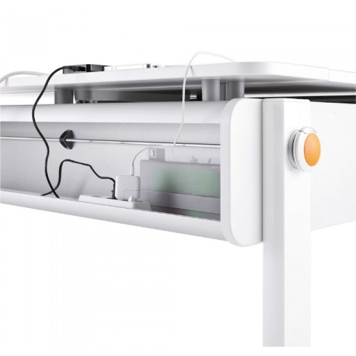 Moll Champion Ergonomic Study Table-Bebehaus