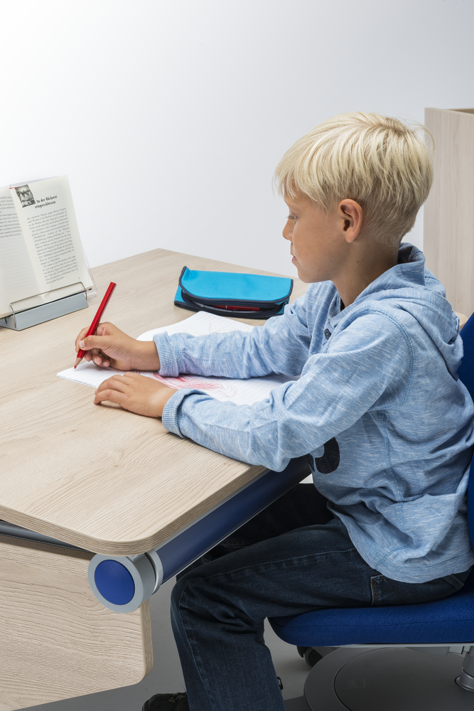 Moll Basic Book Holder-Bebehaus