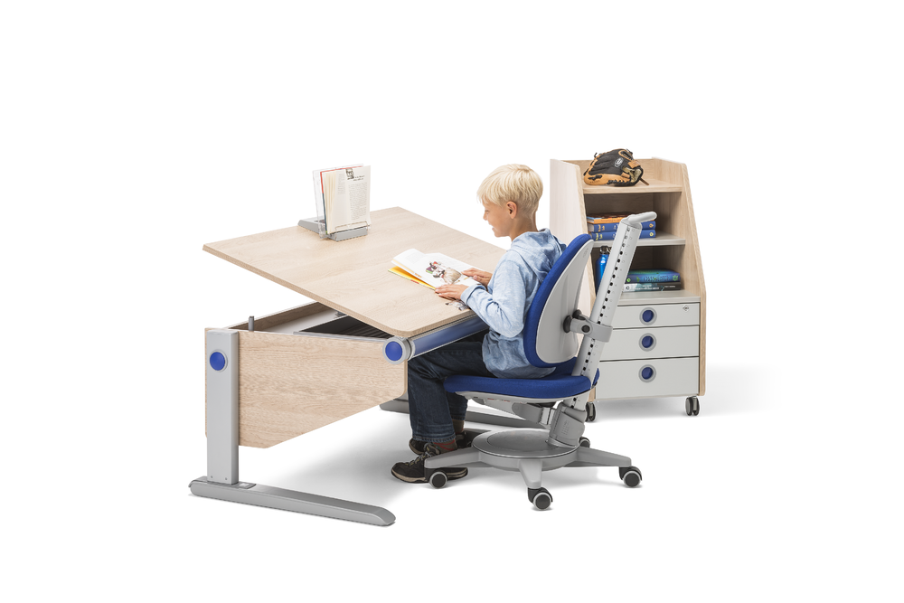 Moll Basic Book Holder-Bebehaus