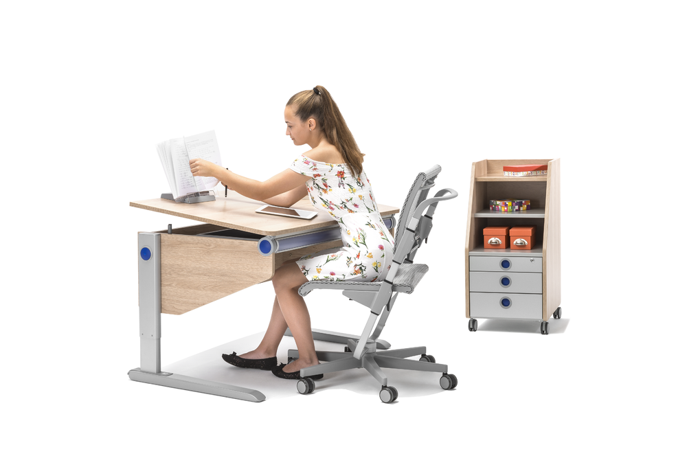 Moll Basic Book Holder-Bebehaus