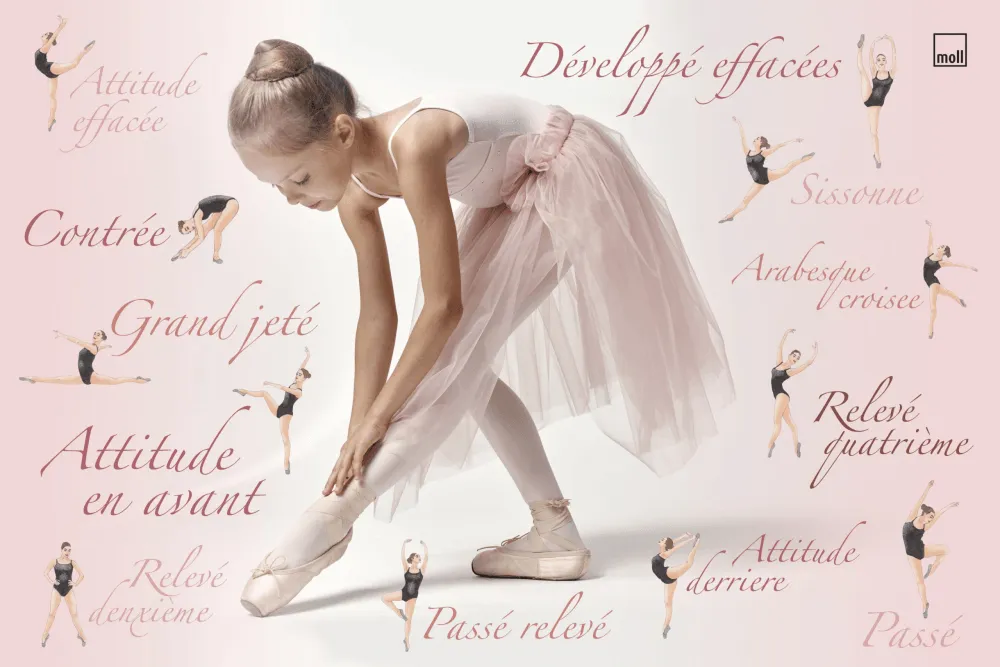 Moll Blotting Pad-Bebehaus