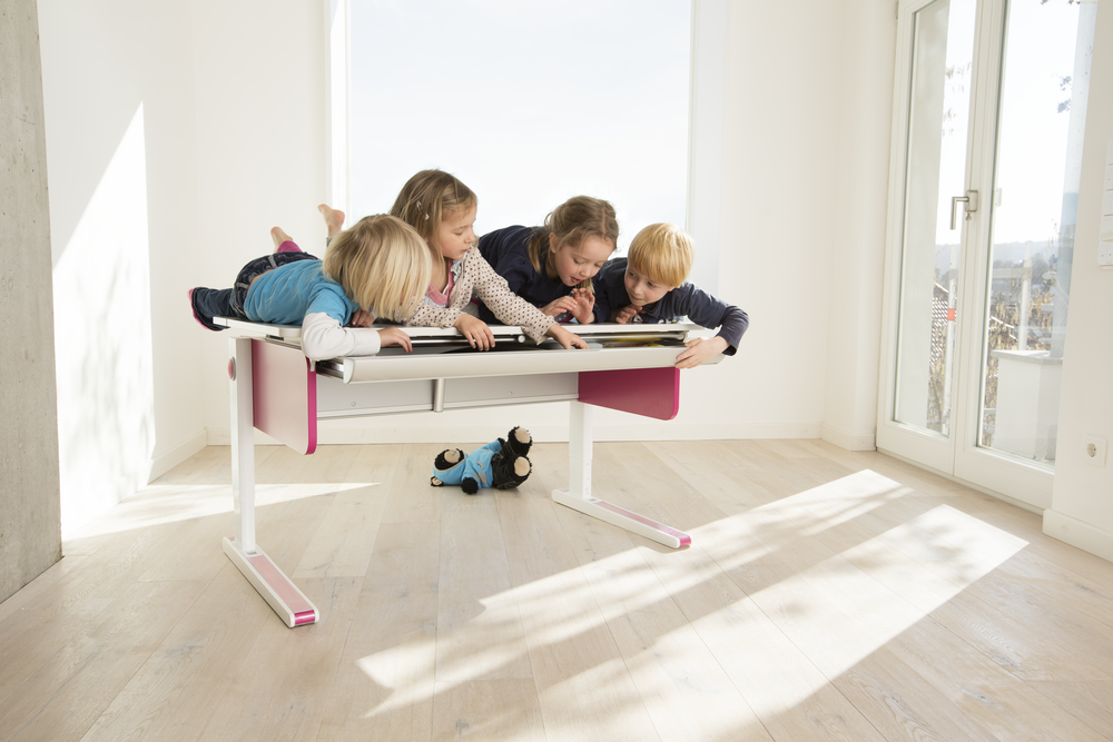 Moll Champion Giant Drawer-Bebehaus