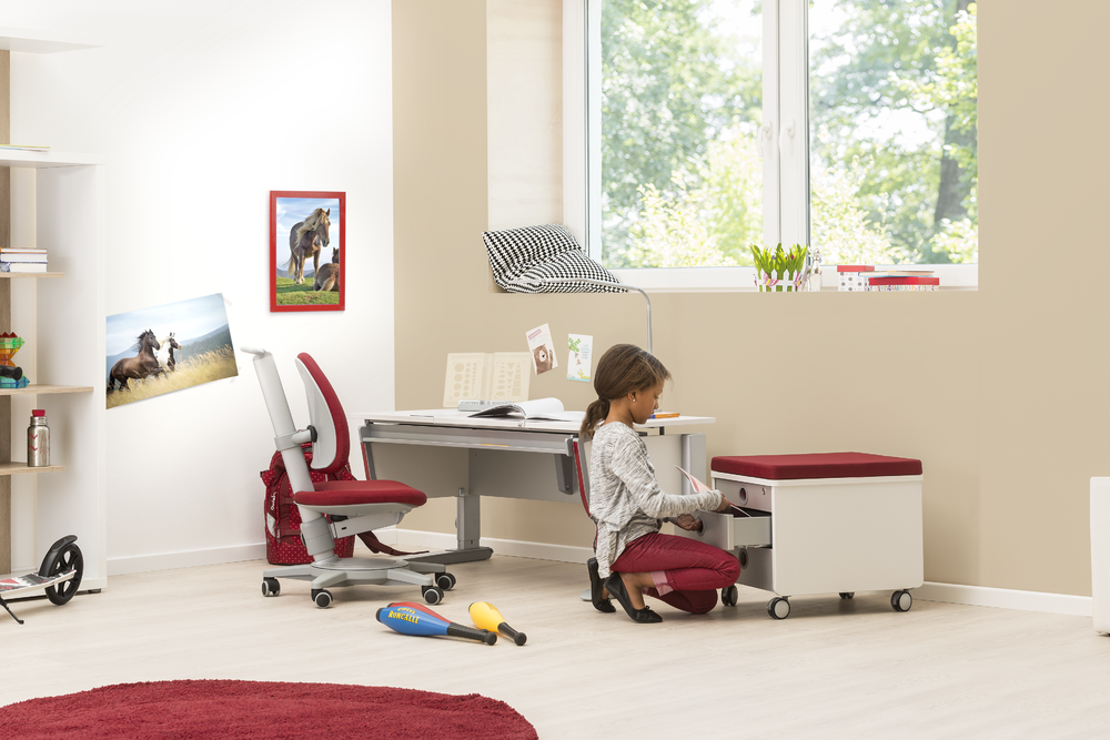 Moll Joker Ergonomic Study Table-Bebehaus