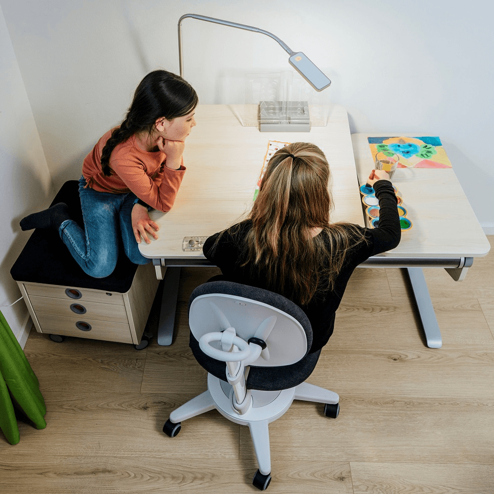 Moll Maximo Ergonomic Study Chair - White Frame-Bebehaus