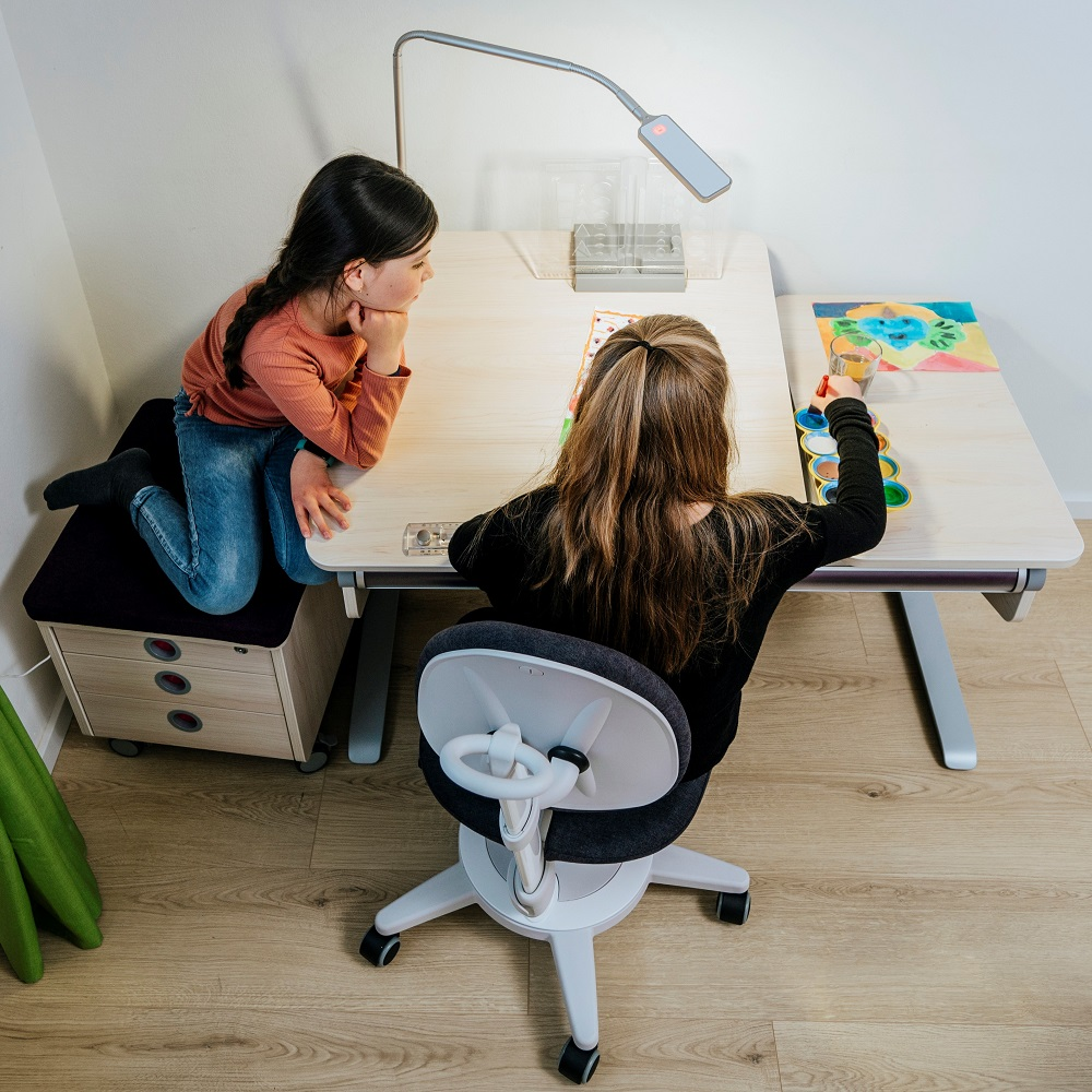 Moll Maximo Ergonomic Study Chair - Grey Frame-Bebehaus
