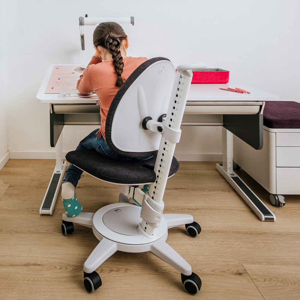 Moll Maximo Ergonomic Study Chair - Grey Frame-Bebehaus