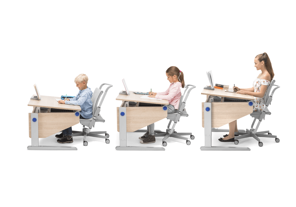 Moll Winner Split Ergonomic Study Table-Bebehaus