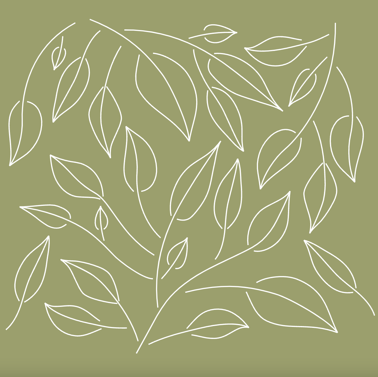 Petit Artichaut Baby Box Square Frame