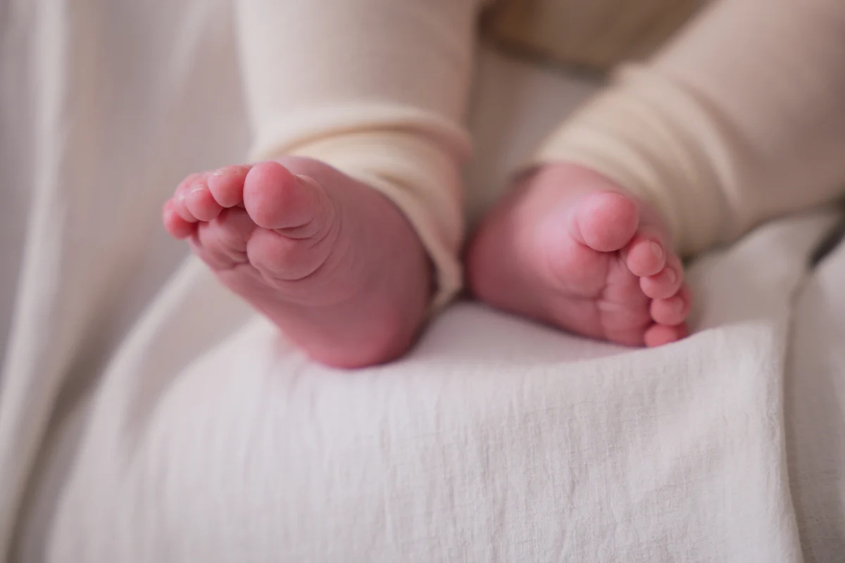 Petit Artichaut Print Box Frame