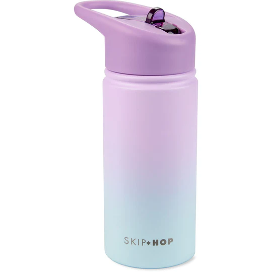 Skip Hop Wander Stainless Steel Water Bottle