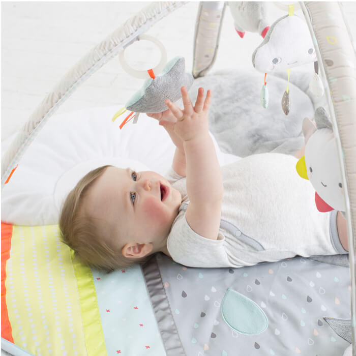 Skip Hop Baby Play Gym and Infant Playmat Silver Lining