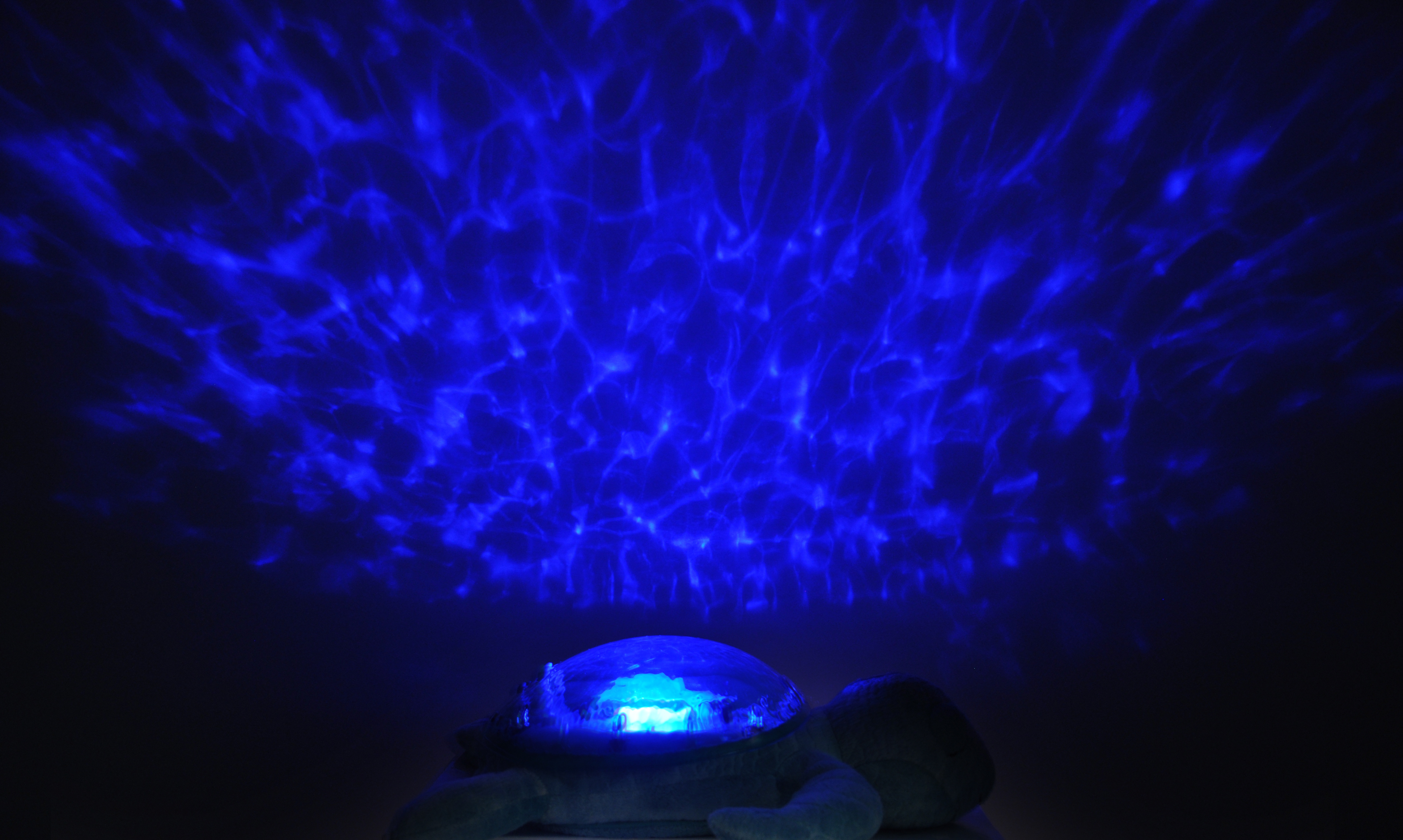 Cloud b Tranquil Turtle-Bebehaus