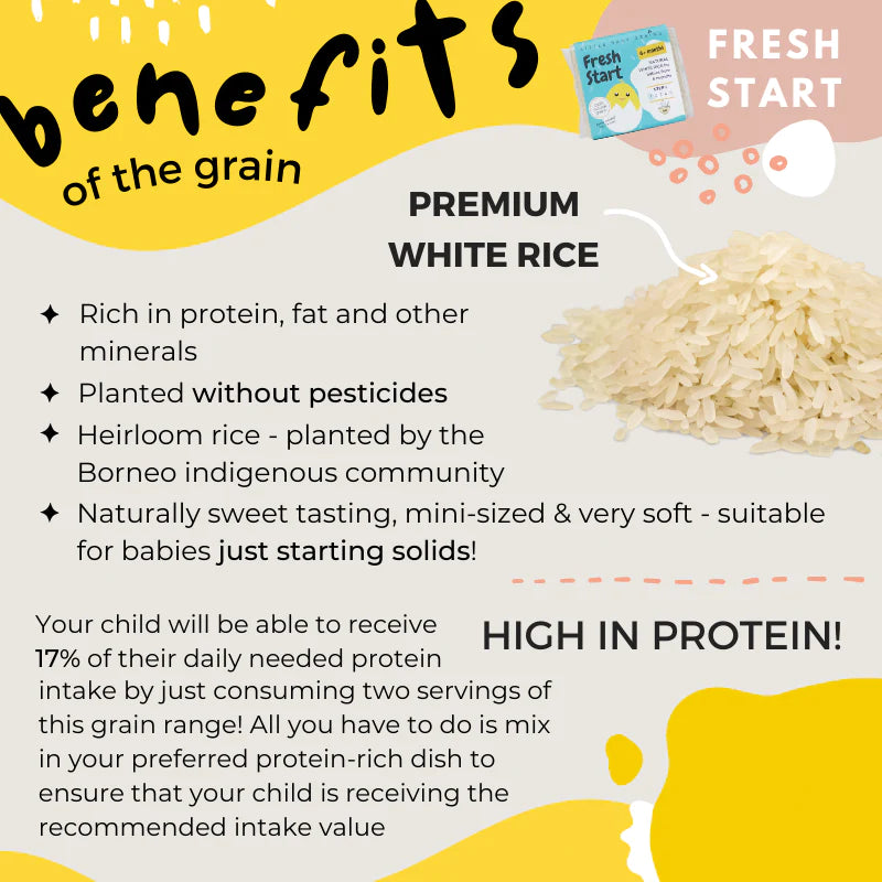Little Baby Grains Fresh Start-Bebehaus