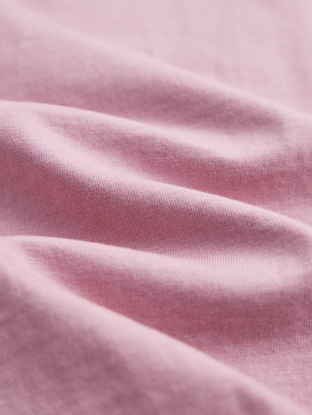 Westies Graphic T-shirt