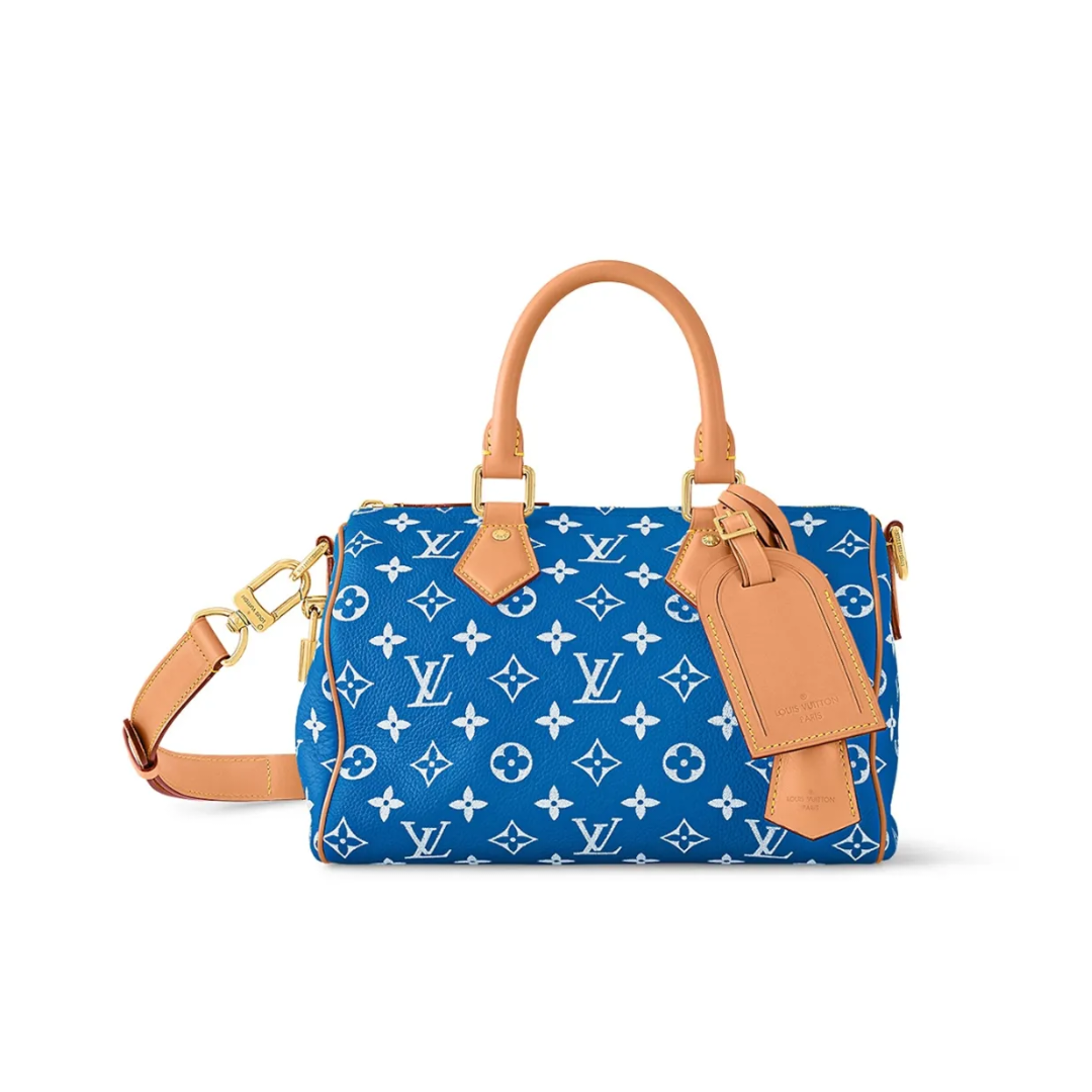 《大人気》◇Louis Vuitton◇ Speedy 25   シリーズ