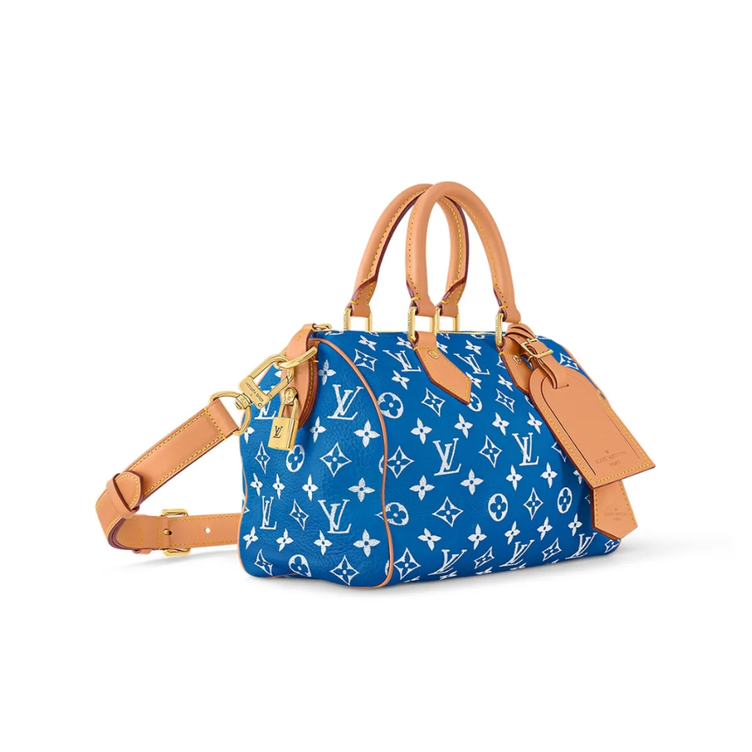 《大人気》◇Louis Vuitton◇ Speedy 25   シリーズ