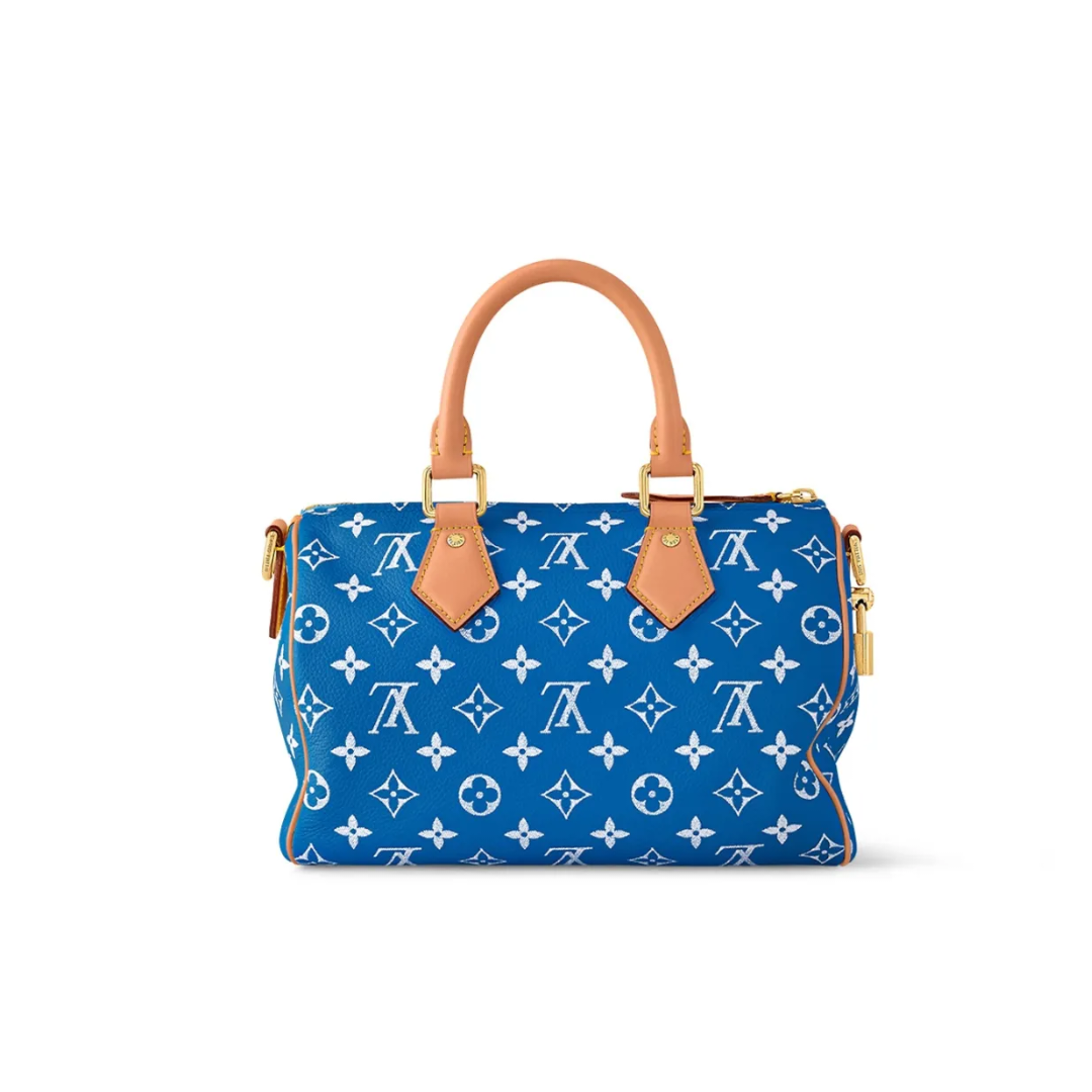 《大人気》◇Louis Vuitton◇ Speedy 25   シリーズ