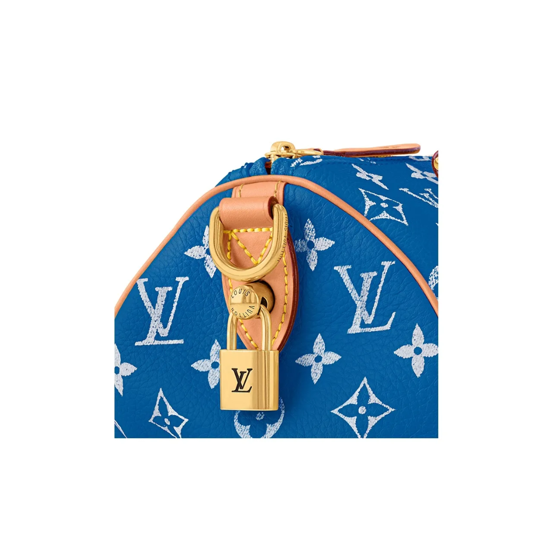 《大人気》◇Louis Vuitton◇ Speedy 25   シリーズ