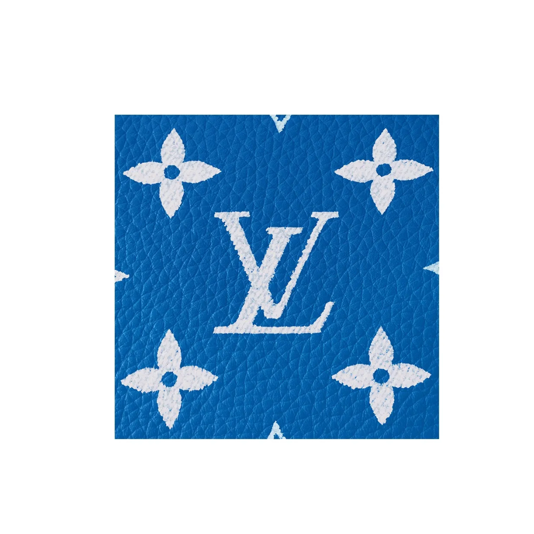 《大人気》◇Louis Vuitton◇ Speedy 25   シリーズ