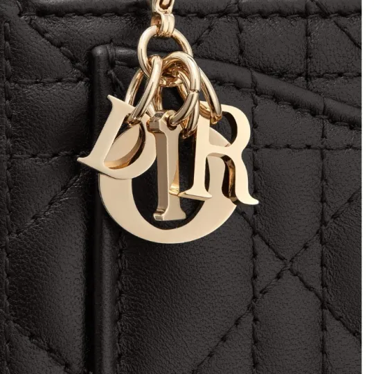 国内発送◇直営買付　◆DIOR◆　ロゴ　フラグメントケース♪