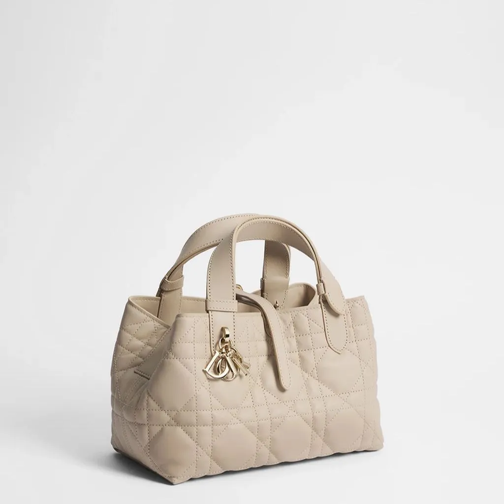 Dior Toujours バッグ スモール