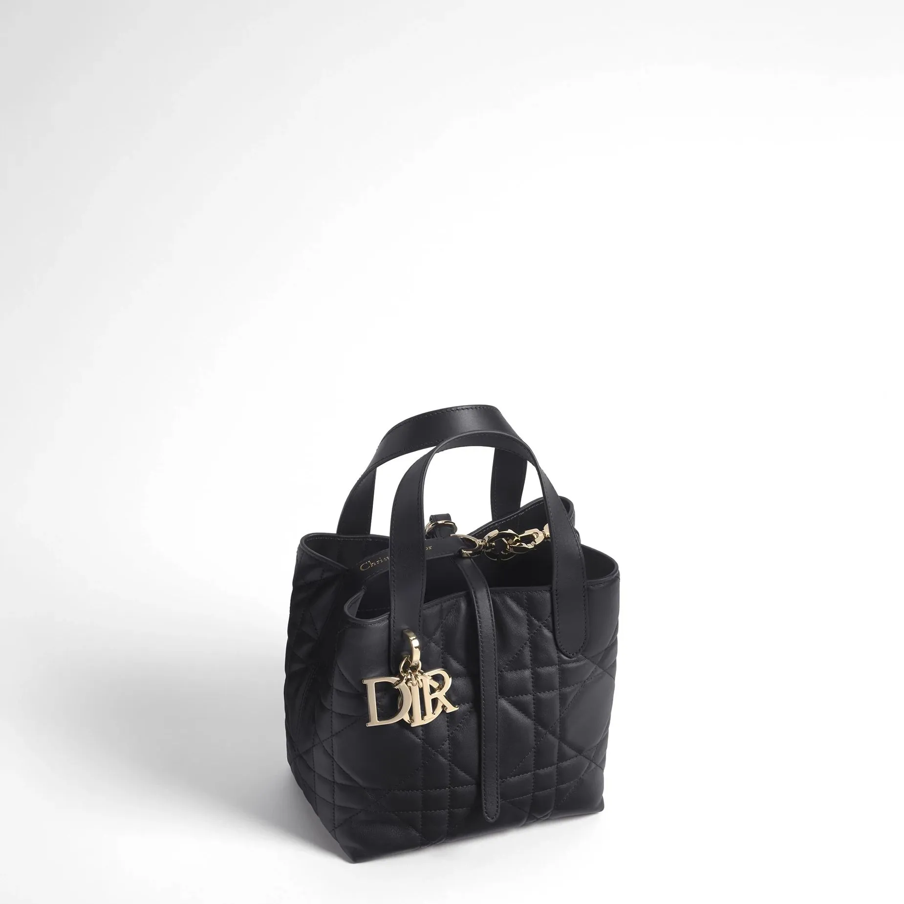 【大人気】Dior Toujours バーティカル トートバッグ スモール