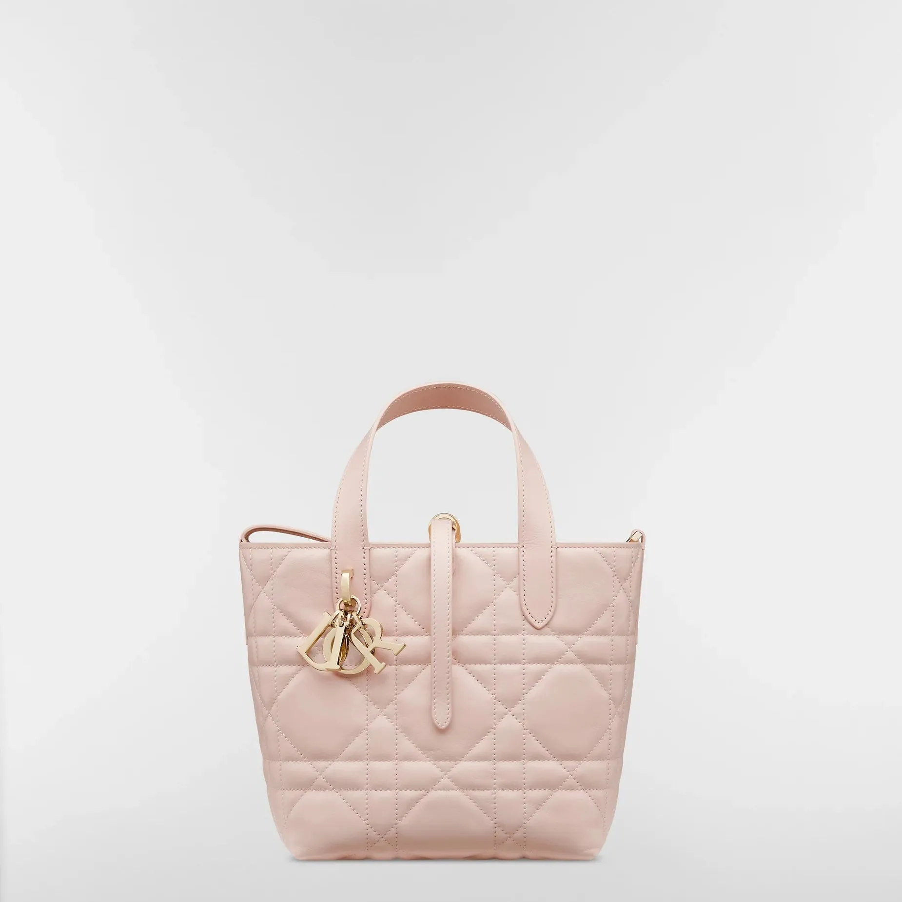 【大人気】Dior Toujours バーティカル トートバッグ スモール