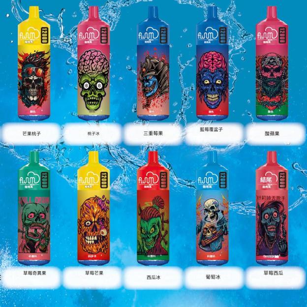 FLUUM BOX 12000 一次性電子煙｜20ml大容量｜多口味選擇｜可充電持久型