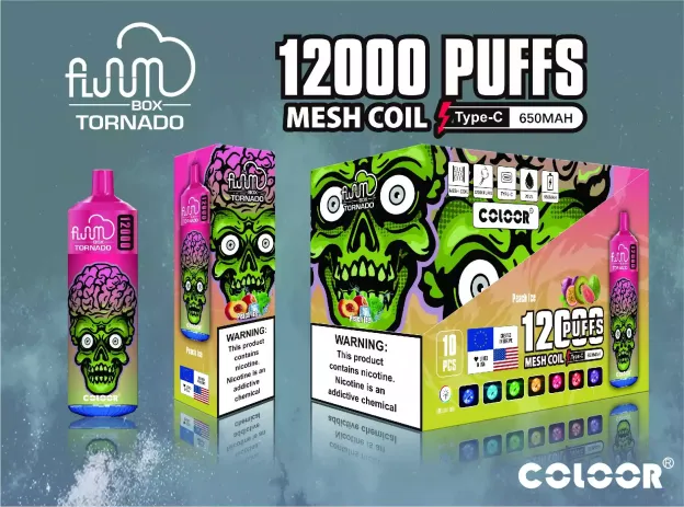 FLUUM BOX 12000 一次性電子煙｜20ml大容量｜多口味選擇｜可充電持久型