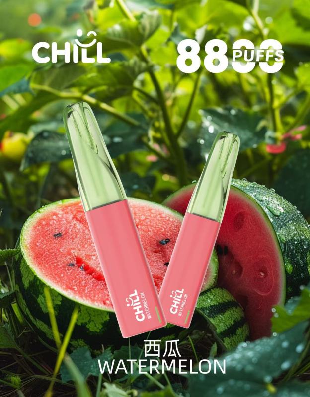 CHILL鴨嘴獸8800口抛棄式電子煙 | 爆款一次性電子煙