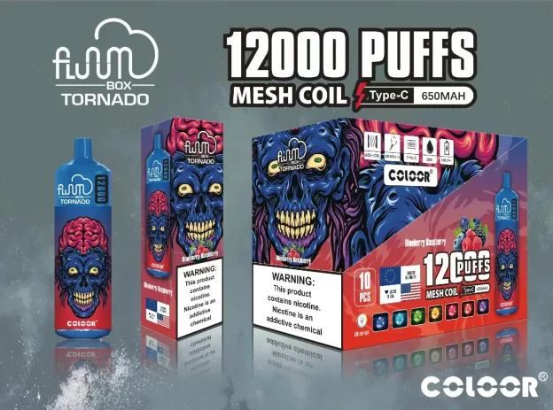 FLUUM BOX 12000 一次性電子煙｜20ml大容量｜多口味選擇｜可充電持久型