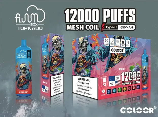 FLUUM BOX 12000 一次性電子煙｜20ml大容量｜多口味選擇｜可充電持久型