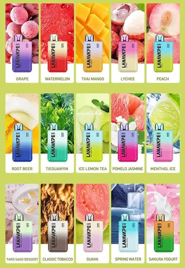 LANA6000口 | 抛棄式電子煙/可充電 | 台灣現貨