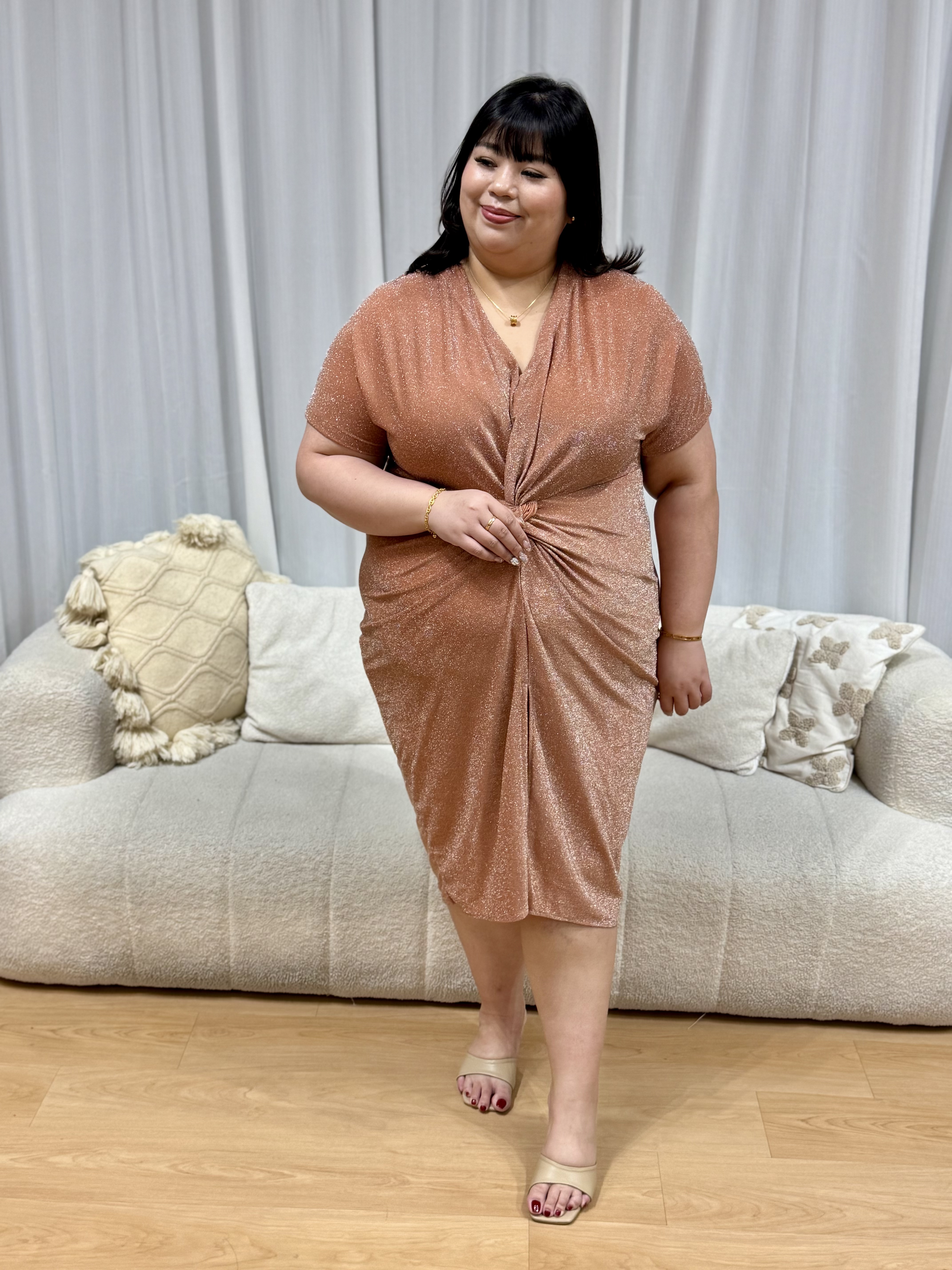 Nicole Shimmering Splendid Dress | Plus Size Dress