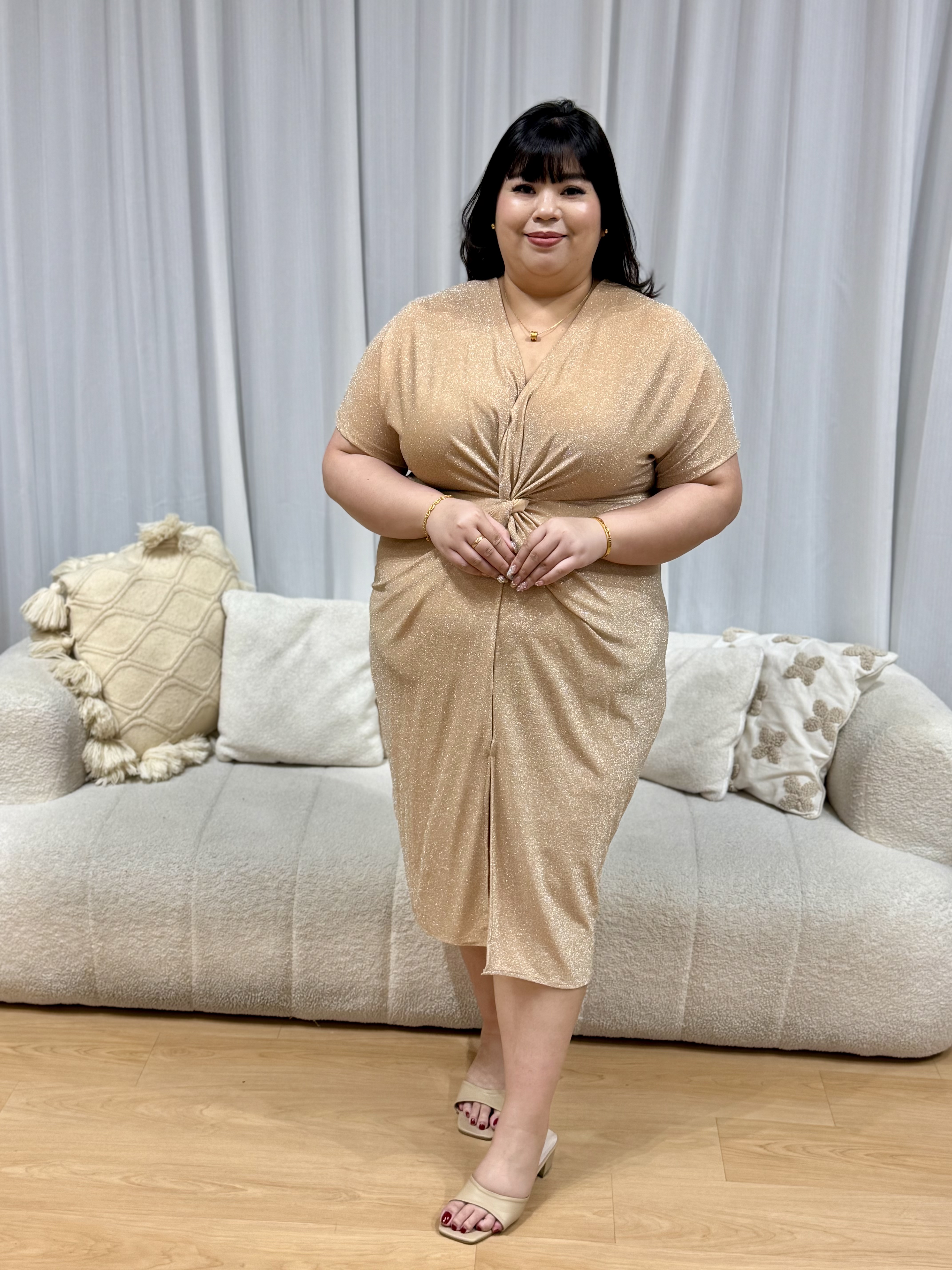 Nicole Shimmering Splendid Dress | Plus Size Dress
