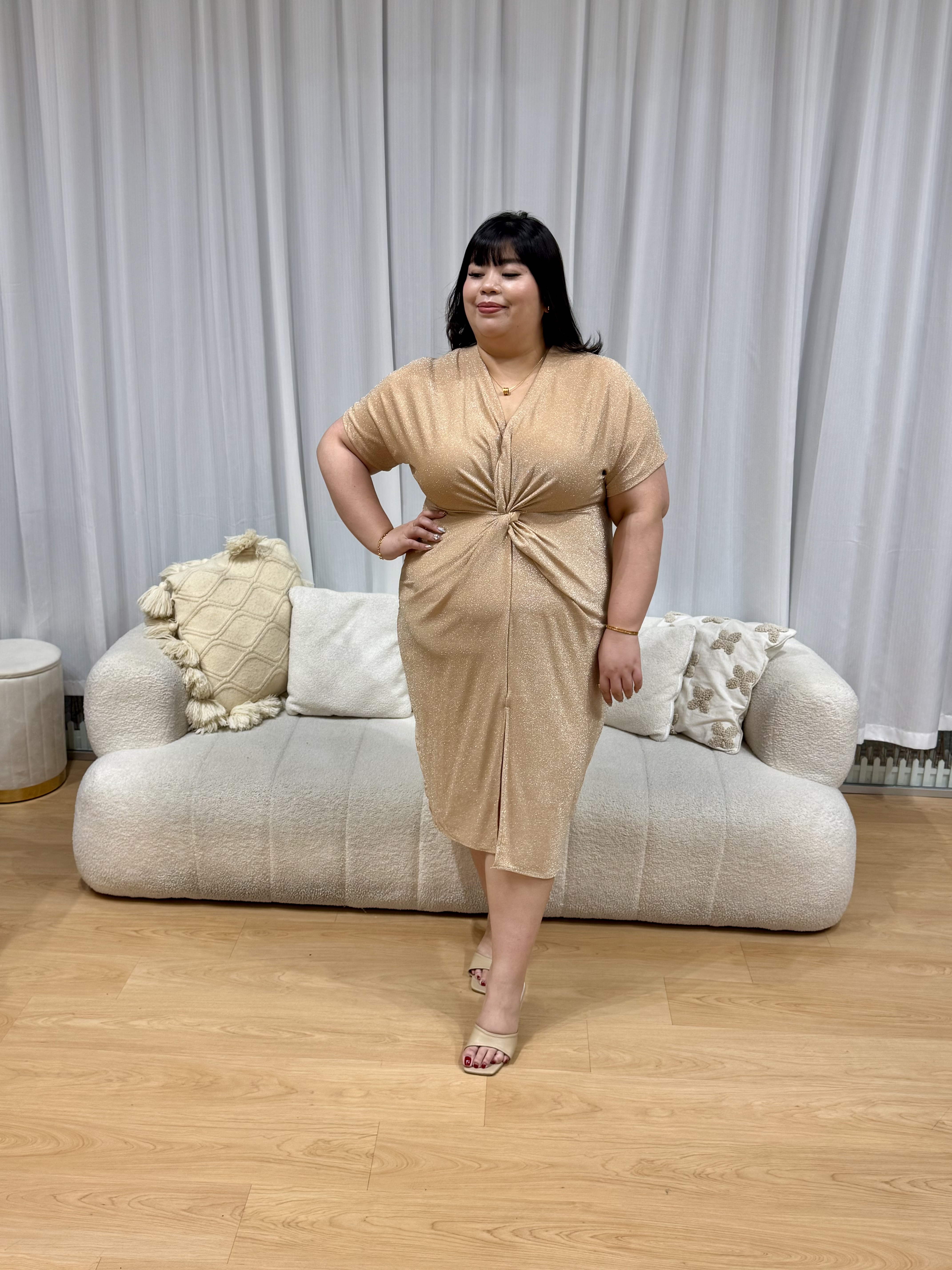 Nicole Shimmering Splendid Dress | Plus Size Dress